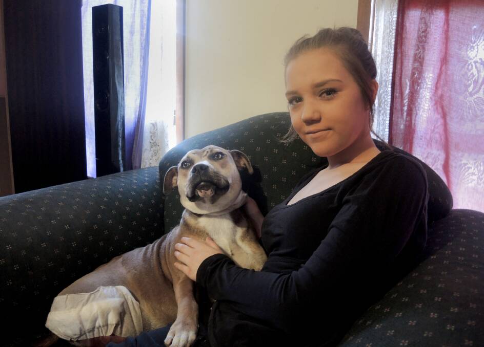 THANKFUL: Tahnee Beard with her dog Missy. Picture: JESS GRAHAM 