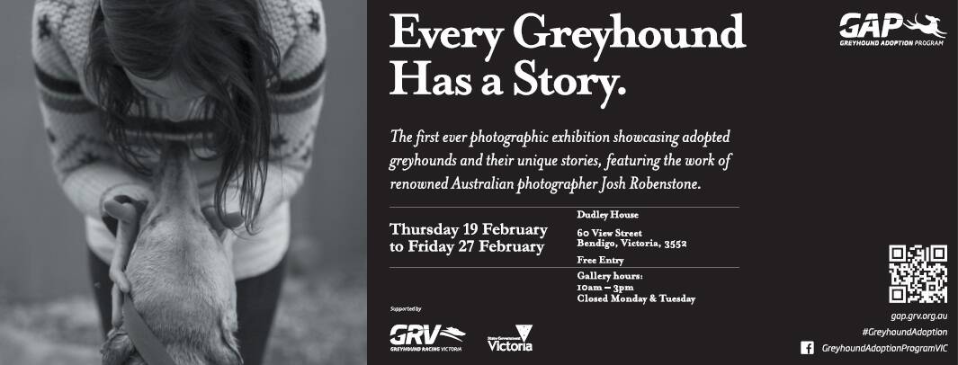 The ad for the greyhound exhibition.