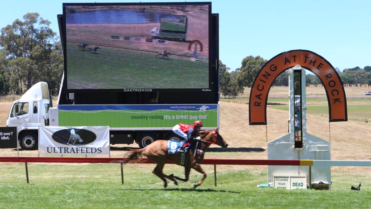 Race one winner at the Austraila Day Races at Hanging Rock. Picture: PETER WEAVING