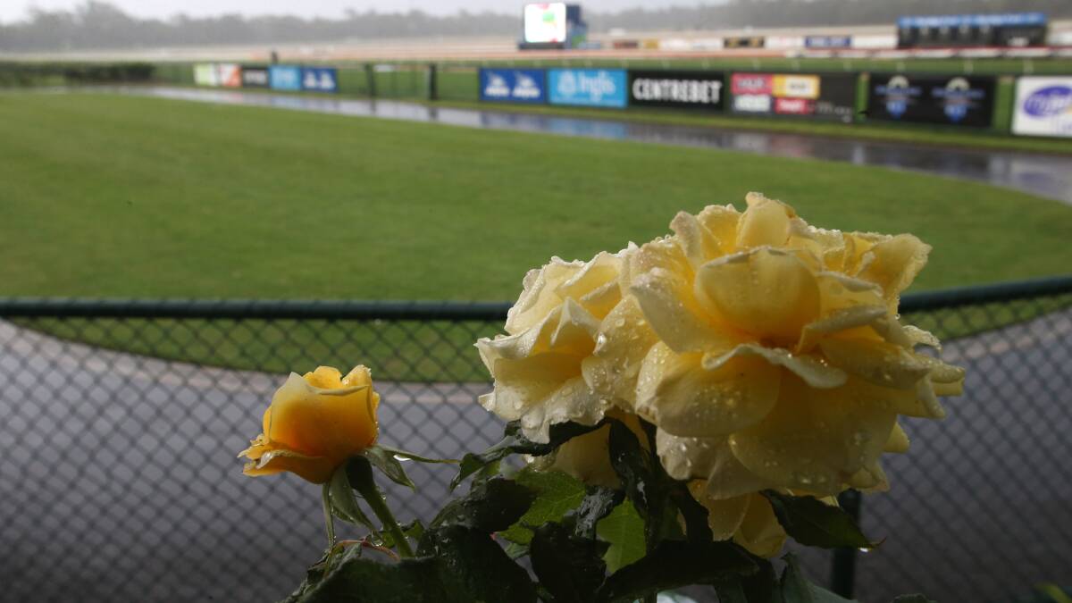 Yalumba Golden Mile crowd raced for cover when a thunderstorm broke.
Picture: PETER WEAVING