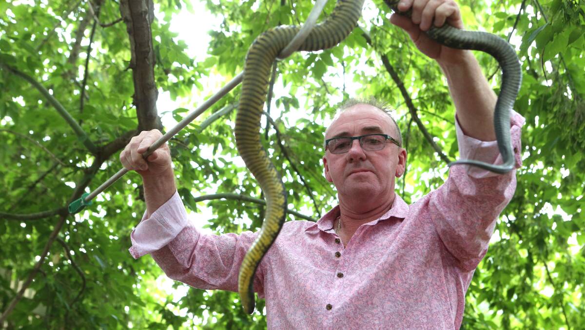Wildlife Relocator George Moore and 'Hugo Boss' the snake. Picture: LIZ FLEMING