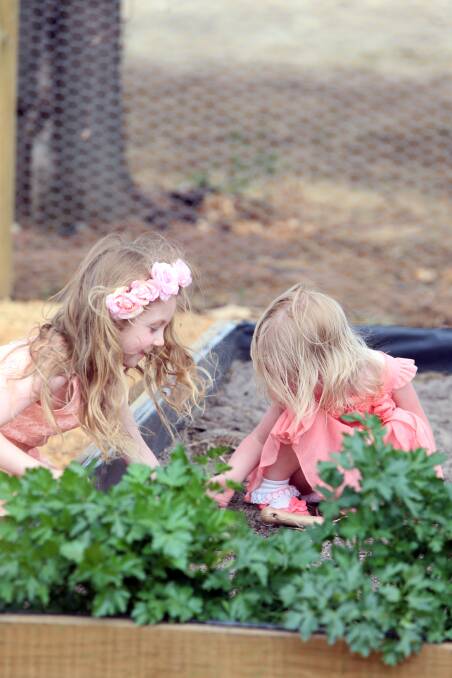 Electra Sanderson and Tahlia Blackley explore the garden at the Wedderburn Community Center. 

Picture: LIZ FLEMING