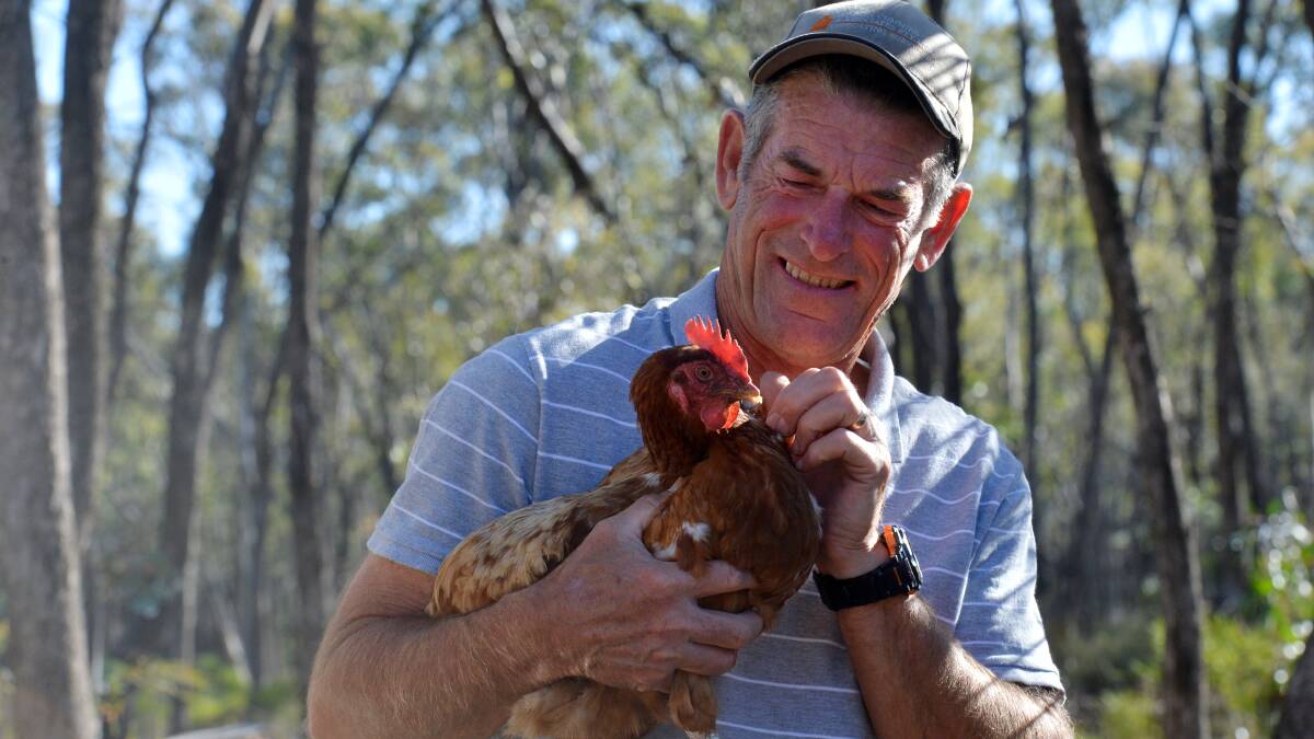  Colin Hetherton with his adventure-seeking hen at their Huntly property. Picture: BRENDAN McCARTHY