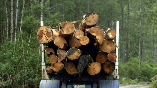 Halting highlands logging could prove lucrative