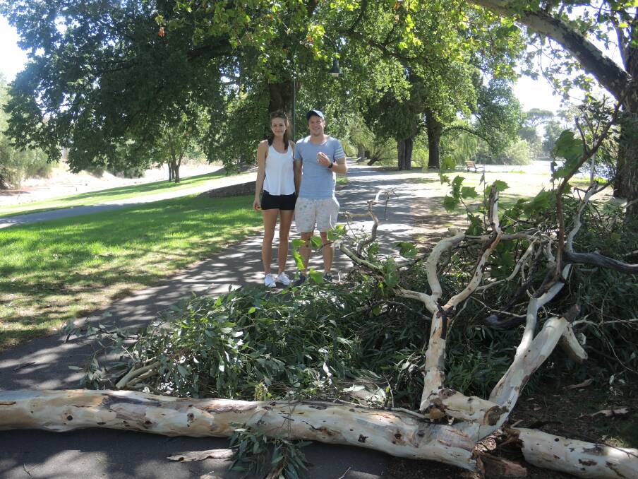CLOSE CALL: Amy Van Heumen and Lee Coghlan by the fallen branch.