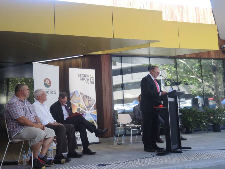 Mayor Barry Lyons gives a speech at the official opening. Picture: WENDY WILLIAMS
