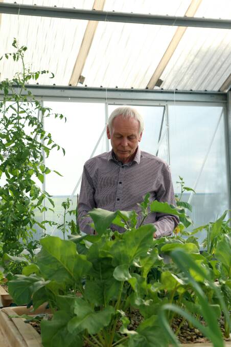 Paul Lamb in his greenhouse. Picture: LIZ FLEMING