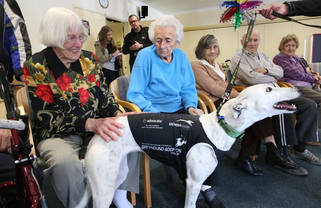 PUPPY LOVE: Mary Hall and Dot Tagell with Tia. Picture: PETER WEAVING