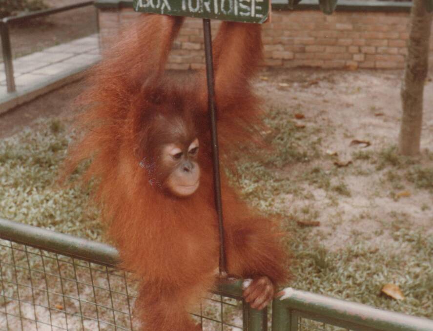 HANGING AROUND: A young Charlie.