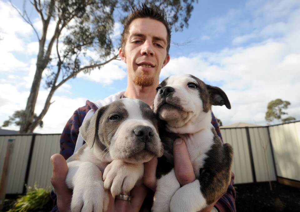 CHANGES: Adrian Finlayson Smith with puppies. 