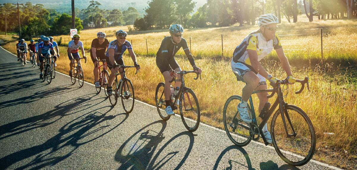 RIDE: Tour de Transplant cyclists on a training ride in the Dandenong Ranges. Picture:  IAN STUBBER.