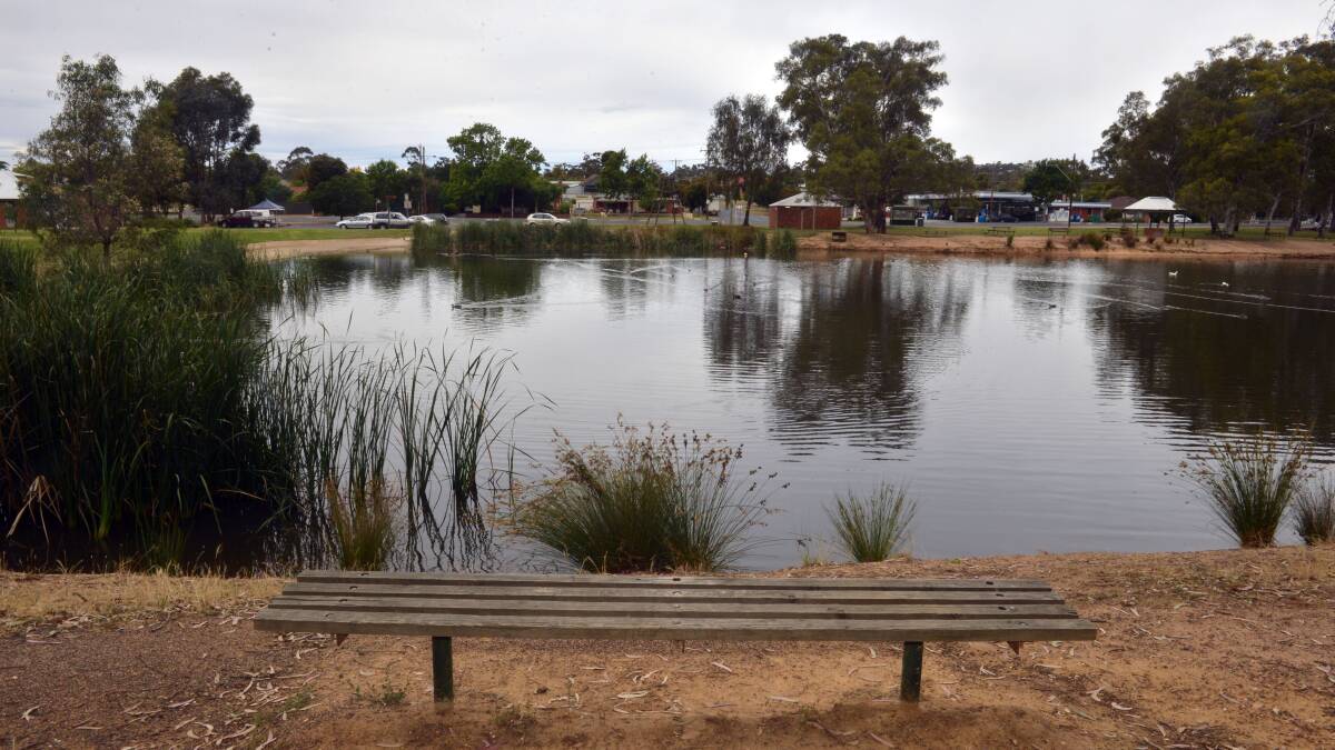 SCENE: Kangaroo Flat's Rotary Gateway Park lake. Picture: BRENDAN McCARTHY