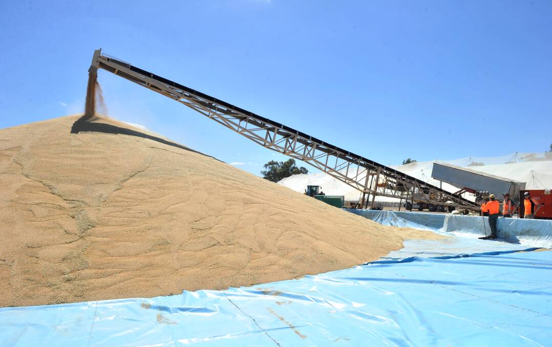 GRAIN: Workers off-load grain at Graincorp's soon-to-be-closed Bridgewater site. Picture: PETER WEAVING