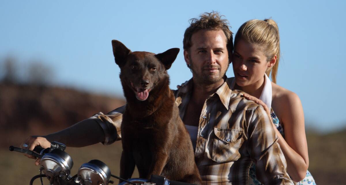 IMMORTALISED: A film still of Koko with Josh Lucas and Rachael Taylor from the movie Red Dog. 