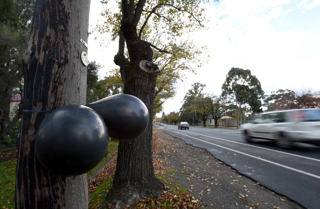 MYSTERY: Black balloons on Napier Street. Picture: JODIE DONNELLAN