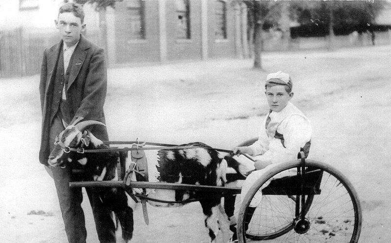 RACE: Brothers Dick and Robert Brown with racing goat Miss Muffett at the Upper Reserve, Bendigo. Photo courtesy Aylene Kirkwood.