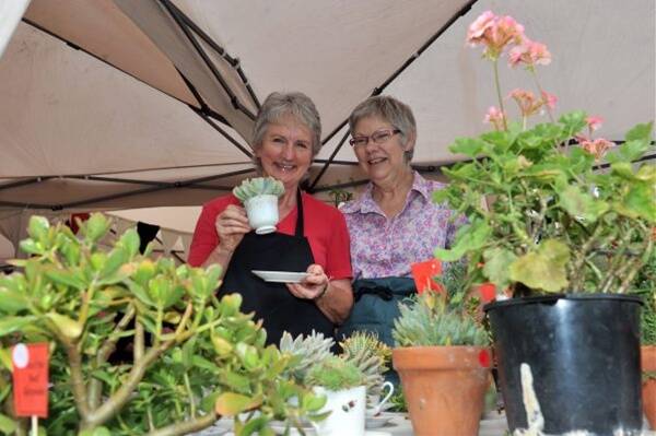 Kathy Rice and Celia Weston from the Red Geranium Inc at the PepperGreen Farm Community Festival.Picture: Jim Aldersey