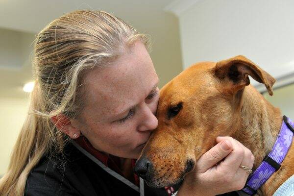 LOOKED AFTER: Vet Dr Kellie Anset with Cheyanne the dog.  
