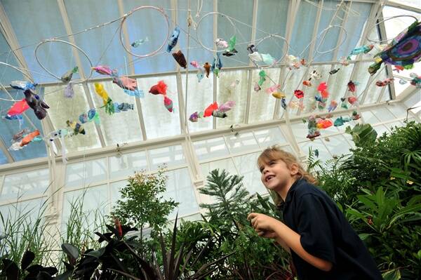DISPLAY: Aaliah Nicholson’s fish is one of many on show in the Rosalind Park conservatory.