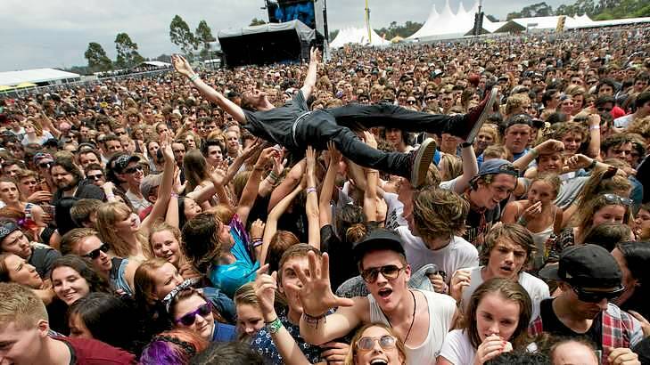 Surfing the Big Day Out crowd in Melbourne on January 24. Photo: Jason South