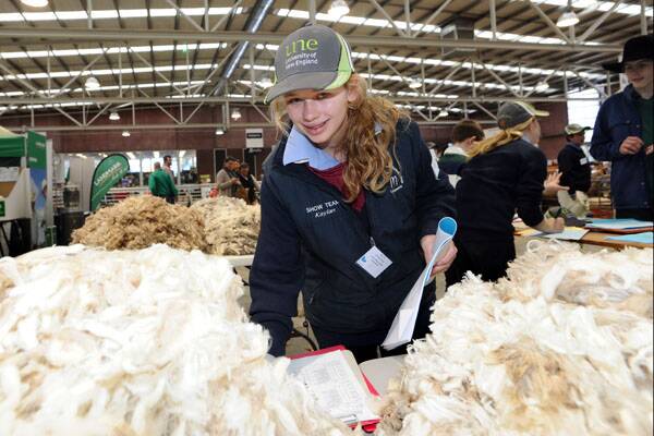 Crowd numbers up at annual Bendigo sheep show