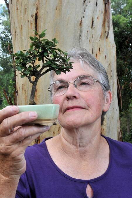 Mary Wilkinson grows beautiful bonsai.