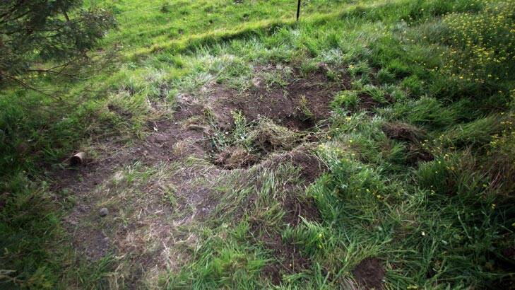 The shallow grave in Gisborne South, where Jill Meagher's body was found.