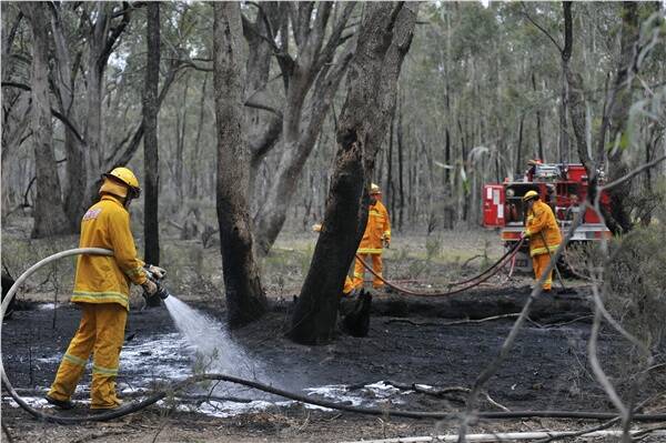 CFA crews put out a small scrub fire in the Whipstick State Forest yesterday afternoon.