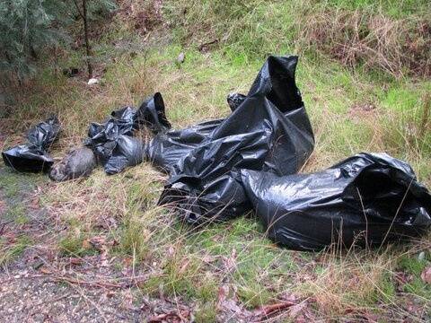 GRIM FIND: The dead animals that were found at the roadside near Daylesford.