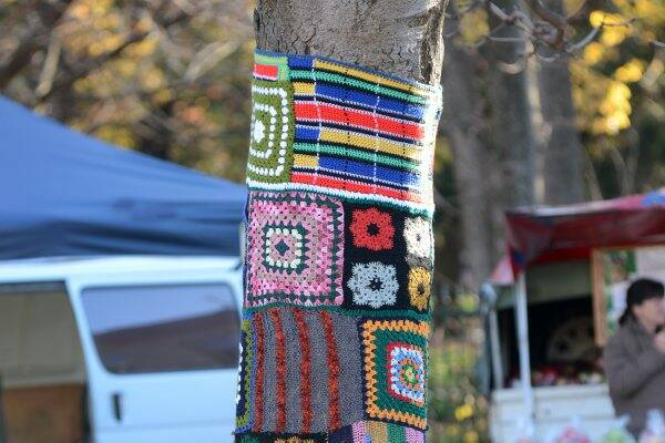 COLOURFUL CRAZE: An anonymous group of “yarn bombers” has decorated a tree and bollards near the city’s visitor information centre in bright woollen coverings. Pictures: PETER WEAVING