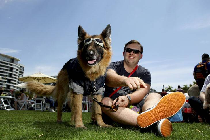 Matt Rosam, from Banyo, with his German Shepherd Scylla at Bark in the Park at the Roma Street Parklands, Brisbane.