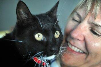 PurrFECT: Pets like Mitch, pictured with Debbie Edwards, benefit from Bendigo Animal Welfare and Community Services’ work.