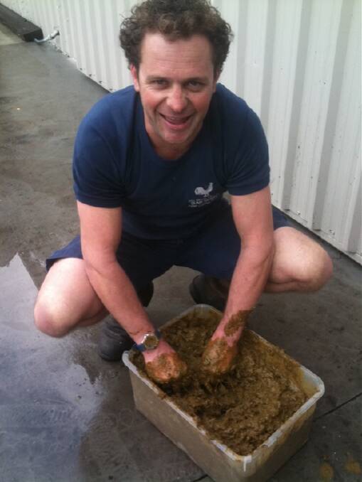 DIRTY WORK: Adam Marks makes “poo paste”, a biodynamic preparation used to treat pruning wounds incurred at his Bress winery and cidery at Harcourt.
