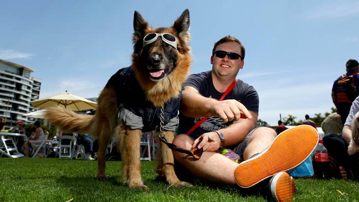 Matt Rosam, from Banyo, with his German Shepherd Scylla at Bark in the Park at the Roma Street Parklands, Brisbane.Photo: Michelle Smith.