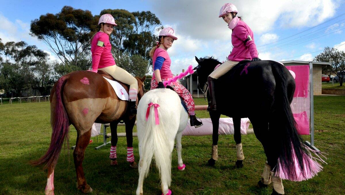 DECORATED: Mikayla O’Neill on Junior, Rhylan O’Toole on Sarah Sparkles and Laura Grinton on Nero got into the pink spirit for Neangar Park Pony Club’s breast cancer fundraiser. Picture: JULIE HOUGH