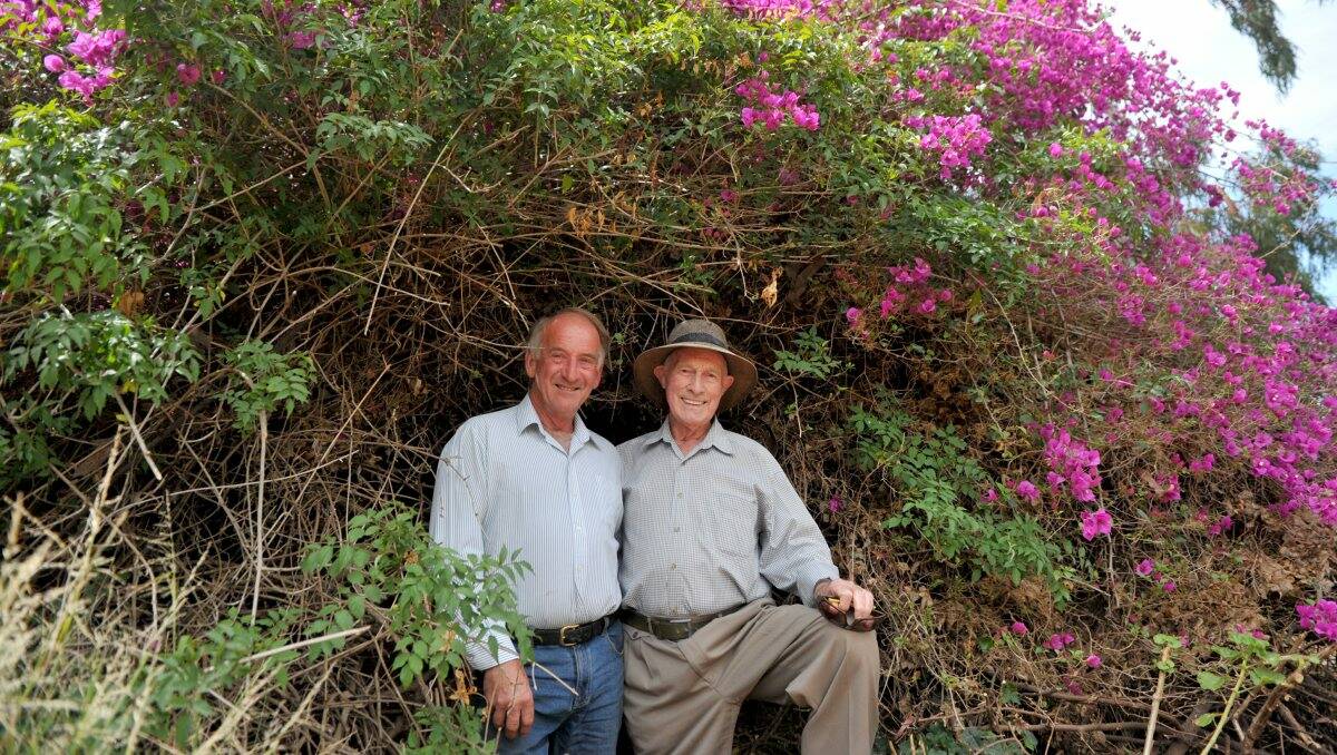 BORN TO GARDEN: Goldmines Hotel owner Rick Walduck with gardener Ken Maes in the Goldmines garden. Picture: JODIE DONNELLAN