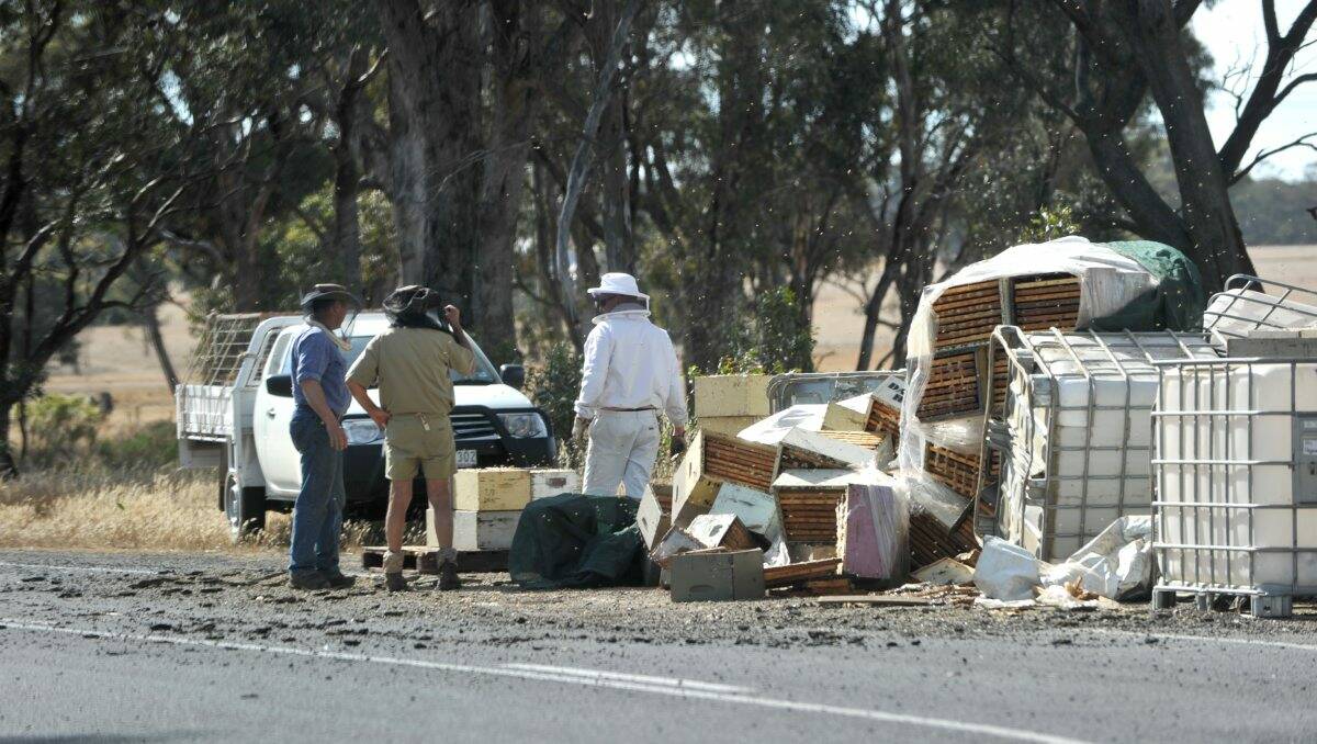 SWARMING: The road was left covered in bees after a truck lost a wheel and spilled its load yesterday. Picture: JODIE DONNELLAN 