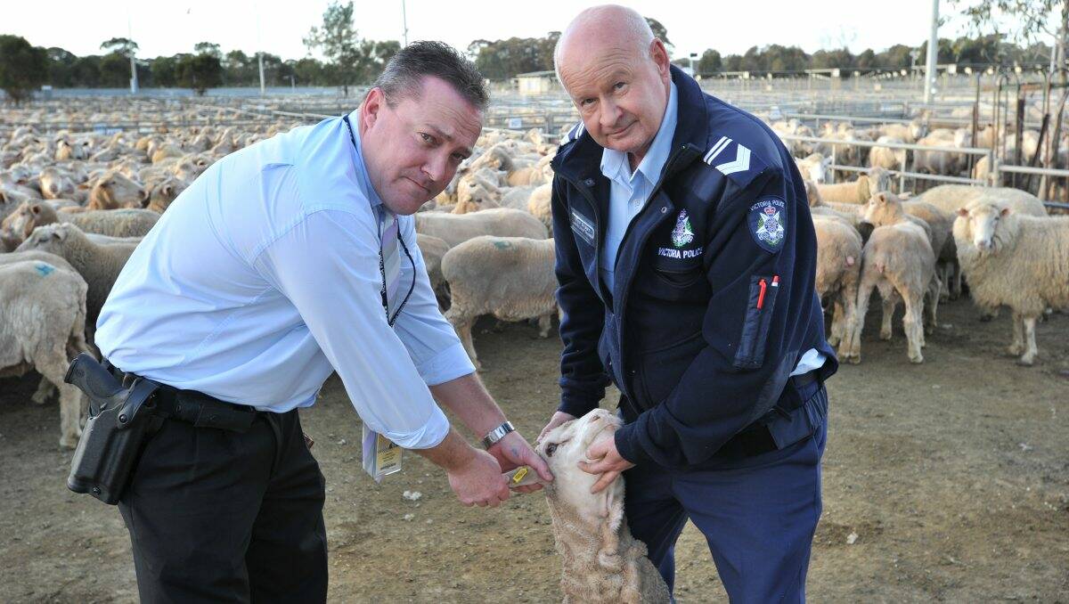 ON THE BALL: Detective Sergeant Mick Logan and Senior Constable Rod Brown are part of a special unit to investigate farm crime, in particular livestock theft. Picture: Peter Weaving  