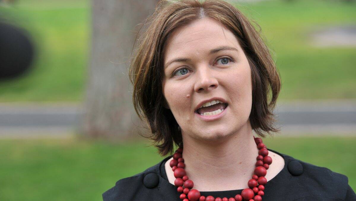 ENDORSED: Labor Party candidate Lisa Chesters says she has the skills Bendigo people want in a federal MP. Picture: Peter Weaving