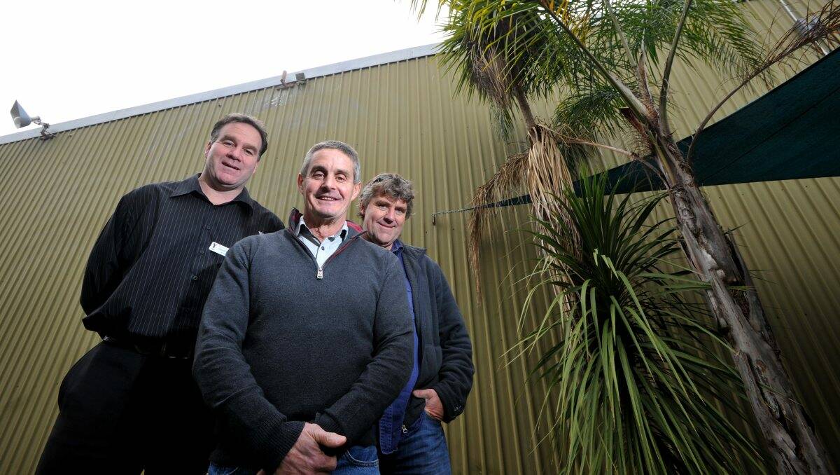 Up for grabs: YMCA manager David Flint, YMCA board member Michael McKern and Our Shed manager Mark Polsen with some of the palm trees available.   Picture: Jim Aldersey