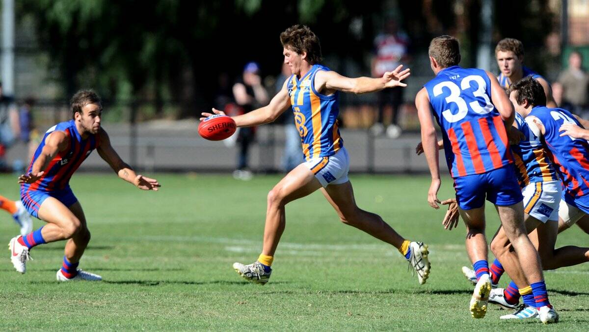 CLASS: Ben Duscher sets up a Bendigo Gold attack in this Victorian Football League clash with Port Melbourne at the QEO. 