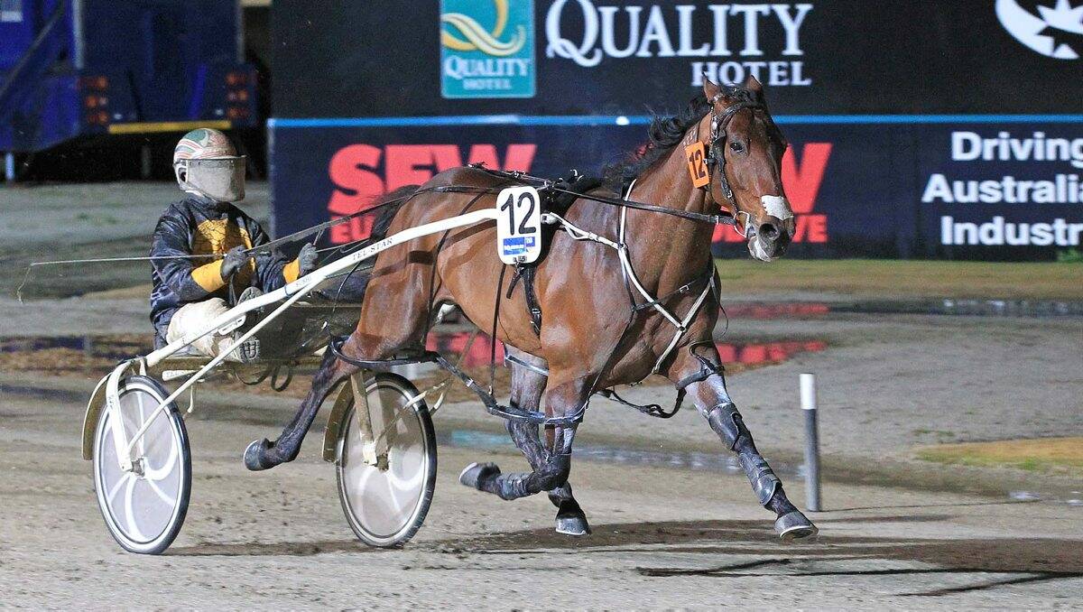 HARD TO BEAT: Sushi Sushi is second favourite for tomorrow night’s Bendigo Pacing Cup at Lord’s Raceway.