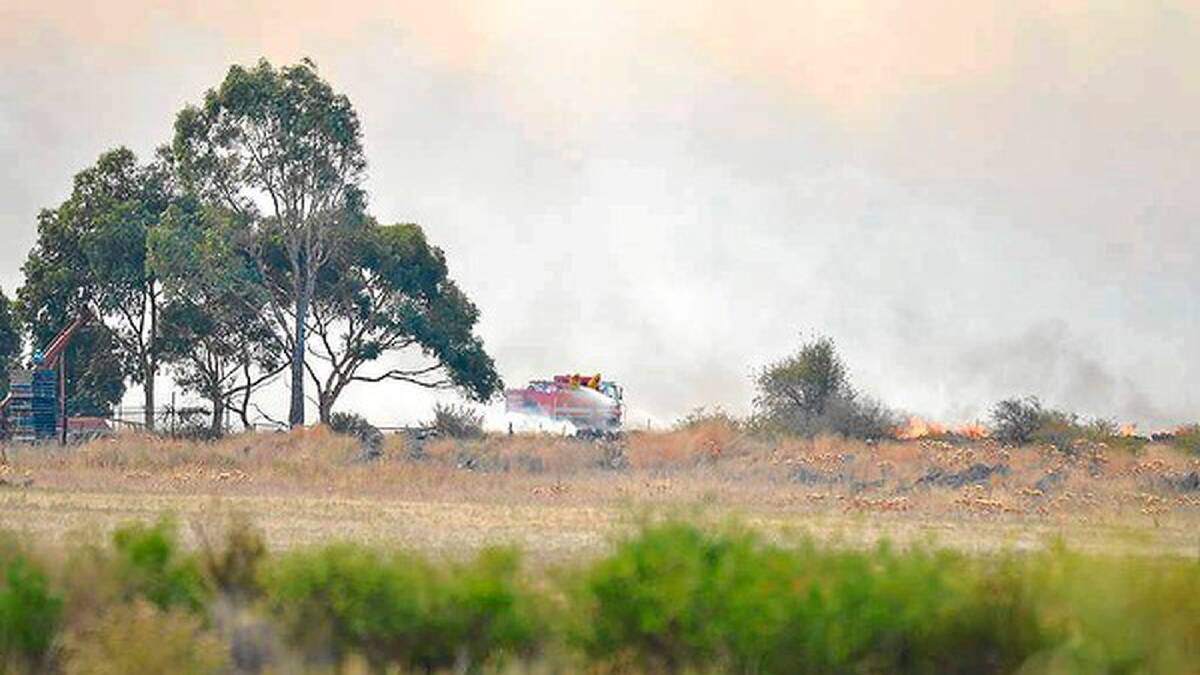 Firefighters battle the grassfire at Epping. Photo: Joe Armao