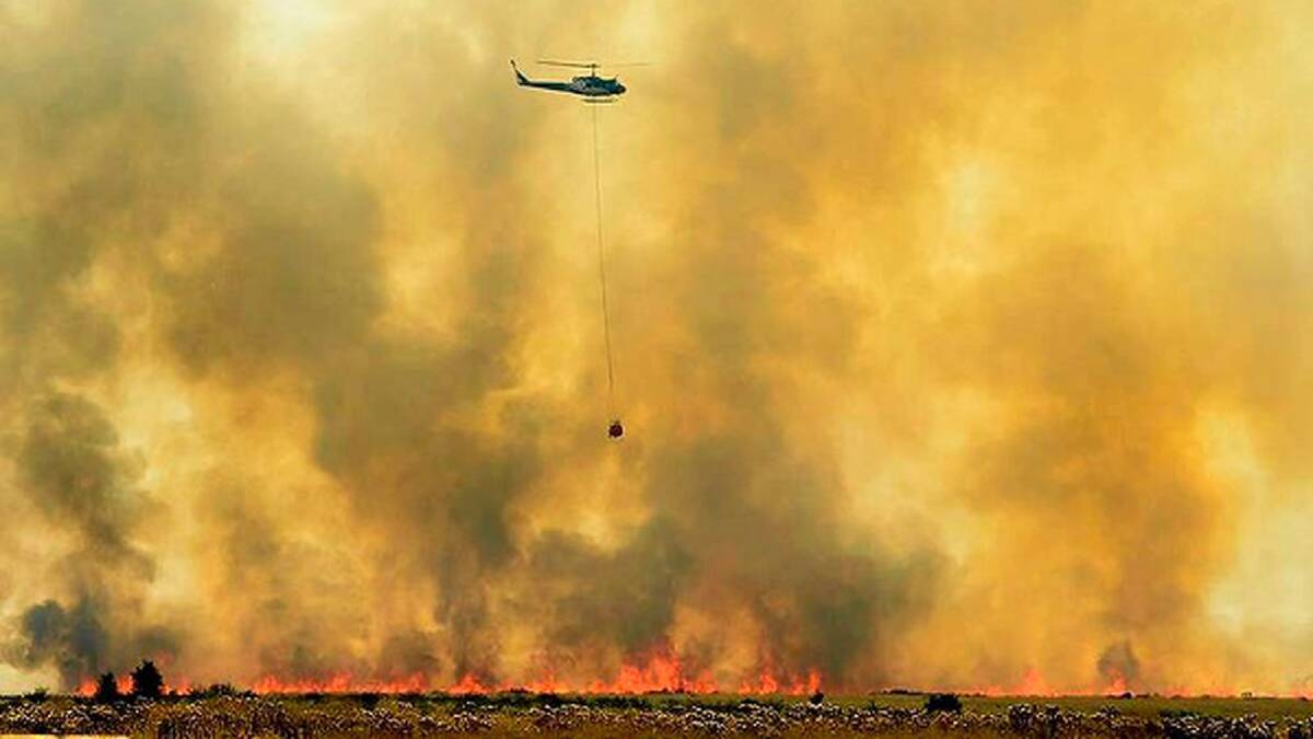 A water bomber fights the Epping grassfire. Photo: Jason South
