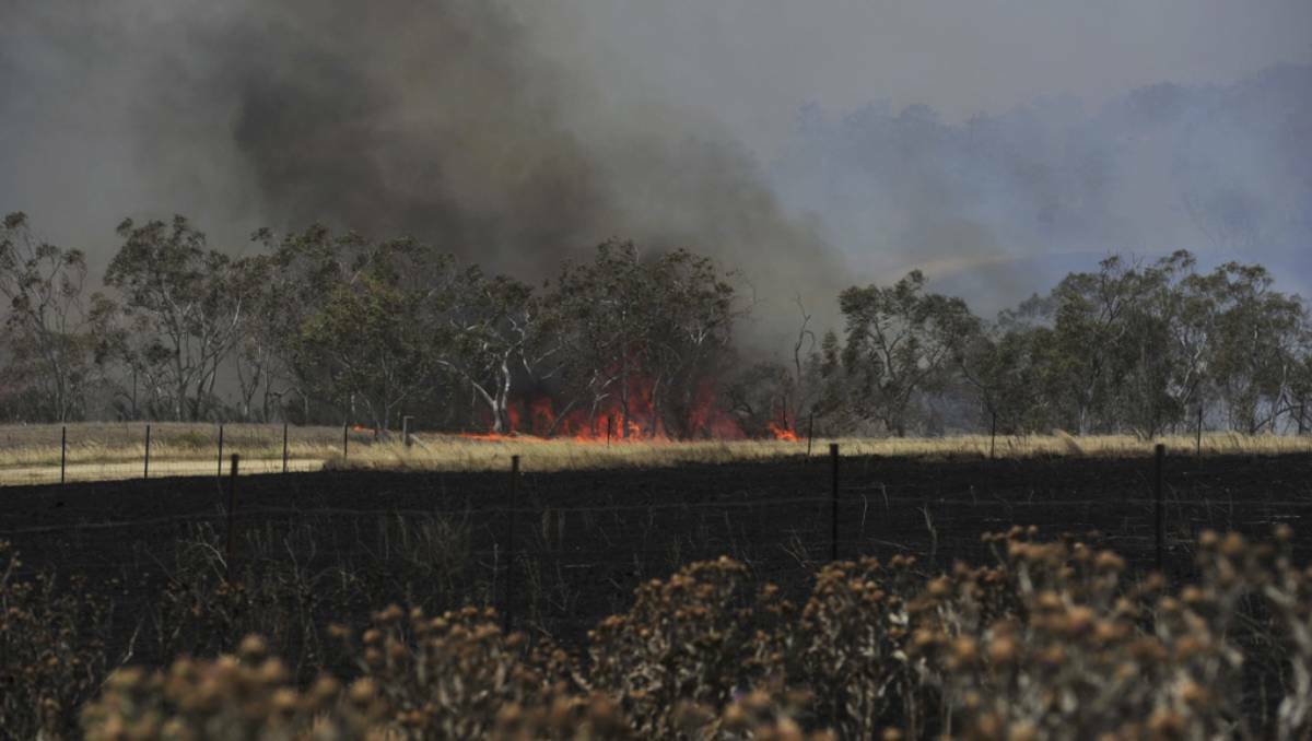 The Yarrabin fire. Photo: Jay Cronin