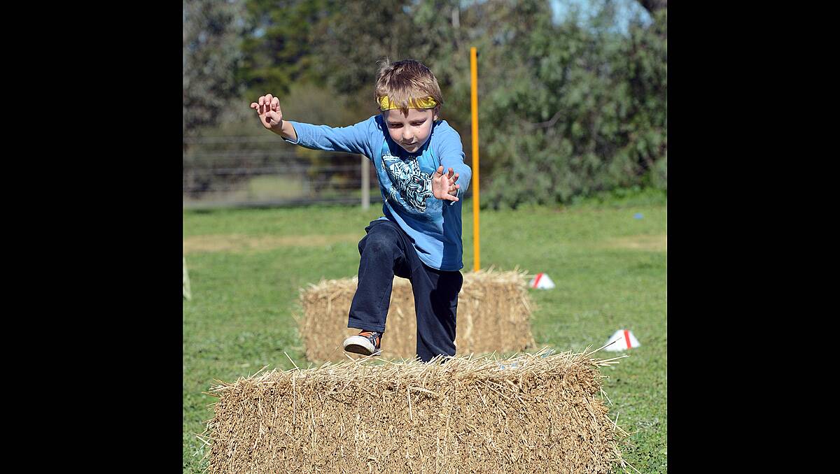 Morgan Johnson grade prep jumps in the hay hurdles at Goornong Primary School, dressed up in team colours for the schools mini Olympics. Photo Jim Aldersey