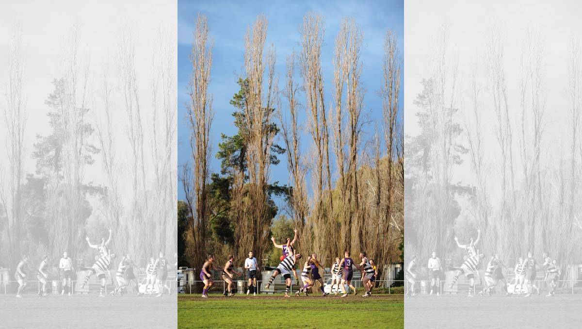  YCW v BL-Serpentine at Backhaus Oval.   Picture: Jodie Donnellan 