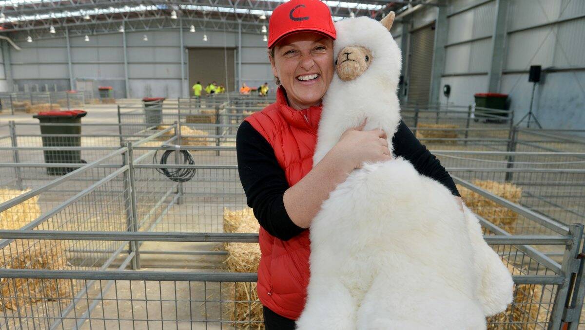 Jenny Ford, one of the organisers of the Colourbration Alpaca exhibition at Bendigo Showgrounds. Picture: Brendan McCarthy