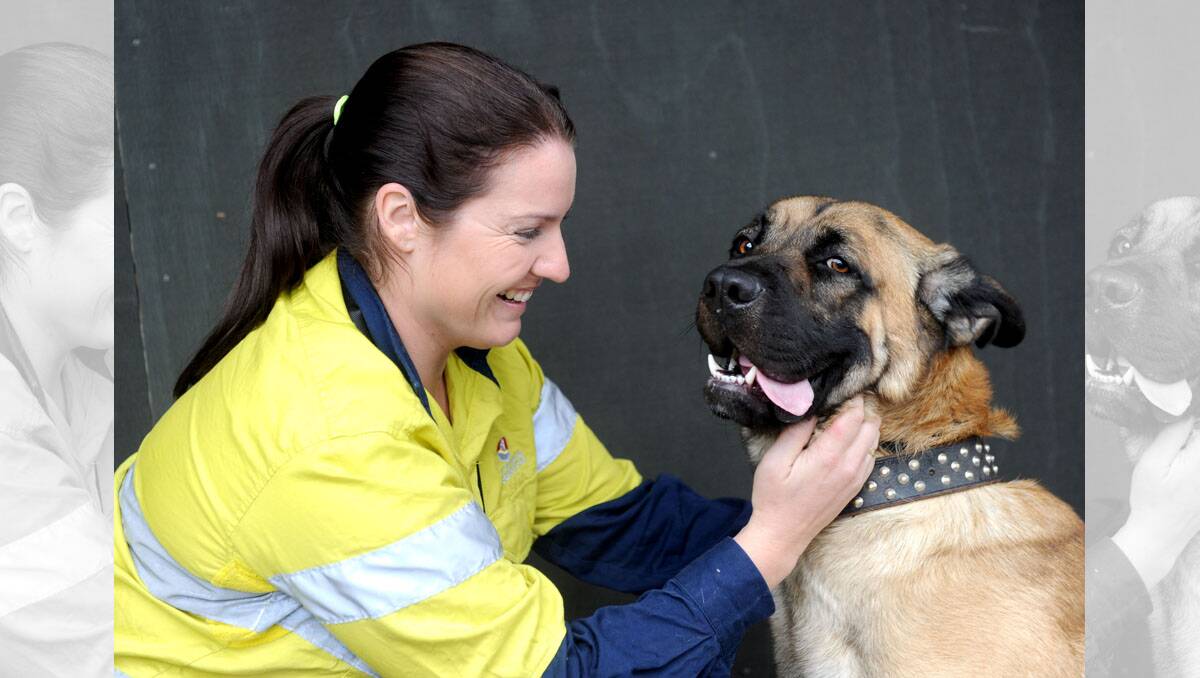 Animal Management Officer Jo Bourke with Woofa. Picture: JODIE DONNELLAN.