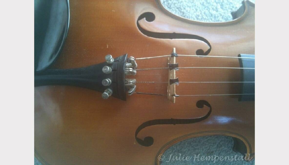 Violin. Picture: Julie Hempenstall